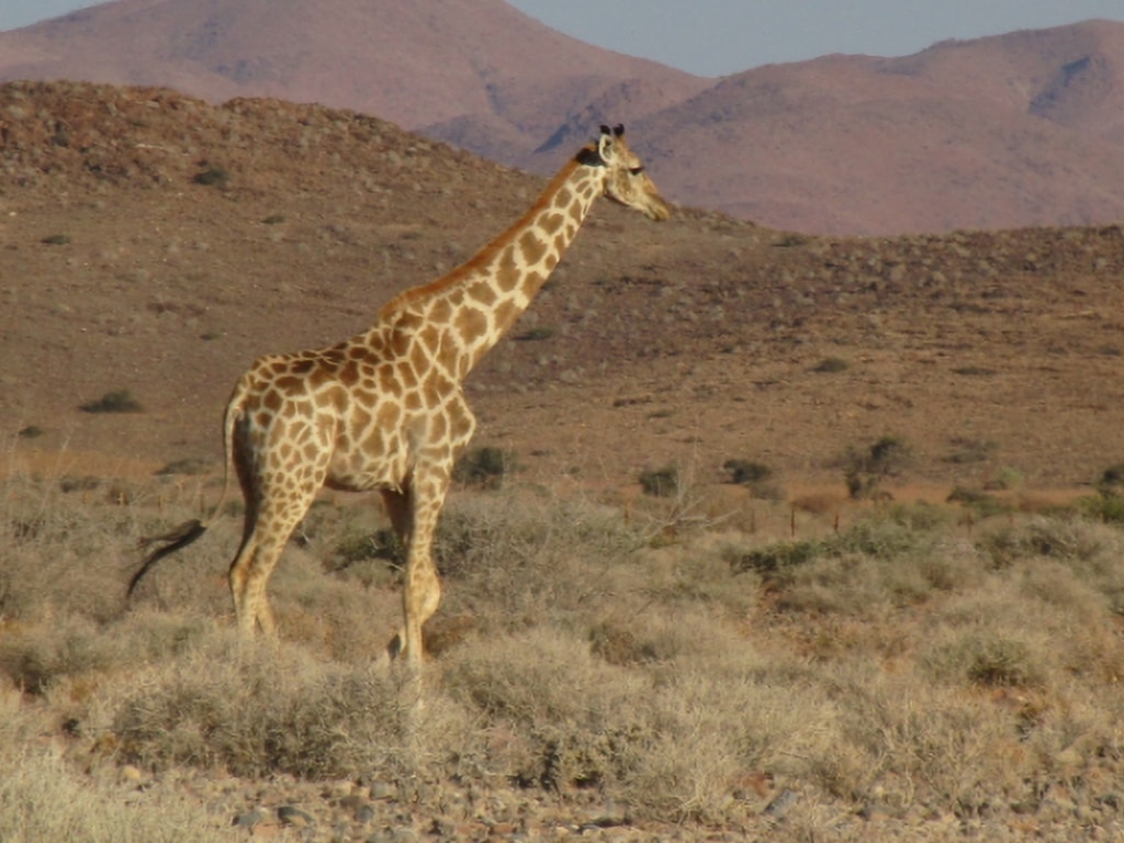 Cycling holiday to the highlights of Namibia | 18 Days 1 | African Bikers 0