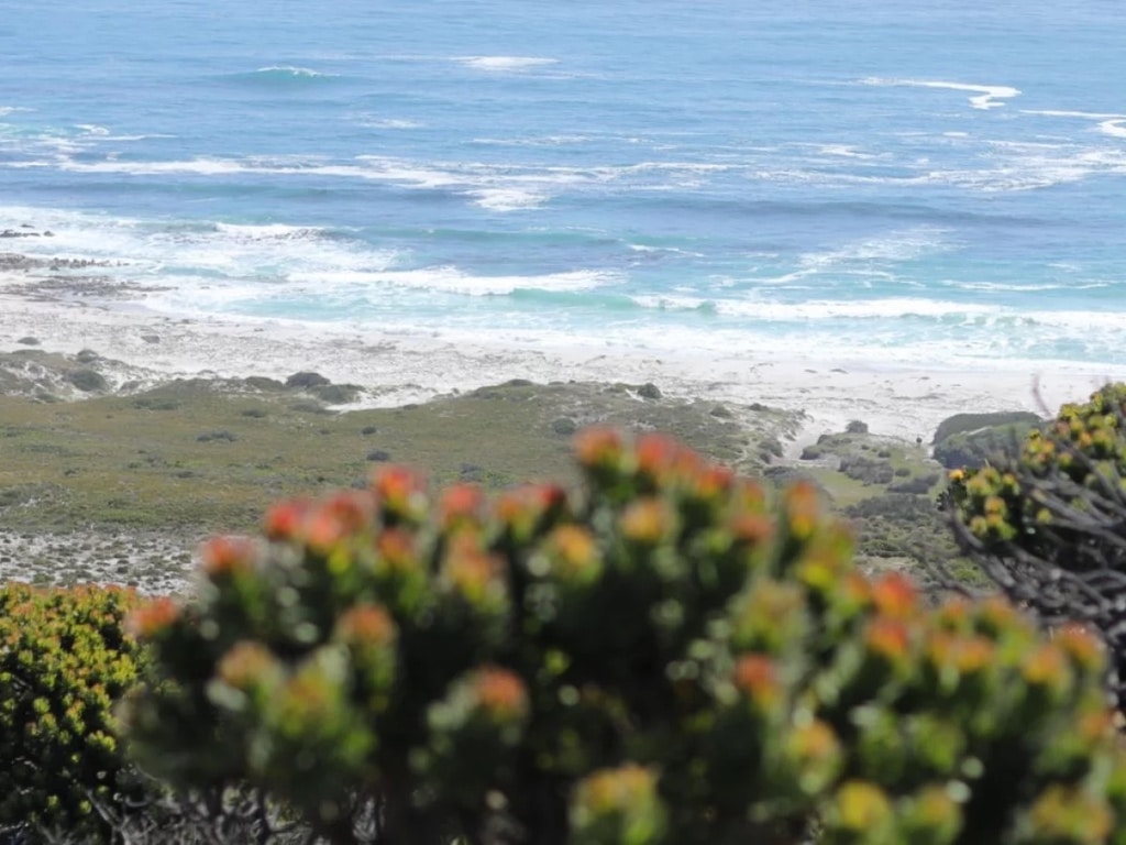 Cape-POint-Hike-scaled-e548393e-2 | African Bikers 0