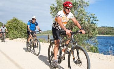 Cycle tour along the Garden Route to Cape Town | 18 days 