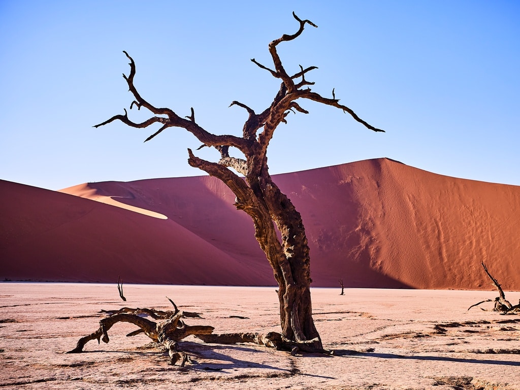 Namibia Dead Vlei WKW | African Bikers 0